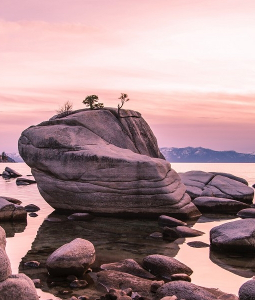 粉象生活被罚了