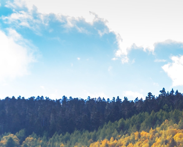 粉象生活邀请一个人有多少佣金