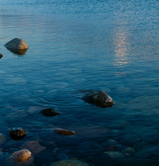 注册粉象生活有风险吗
