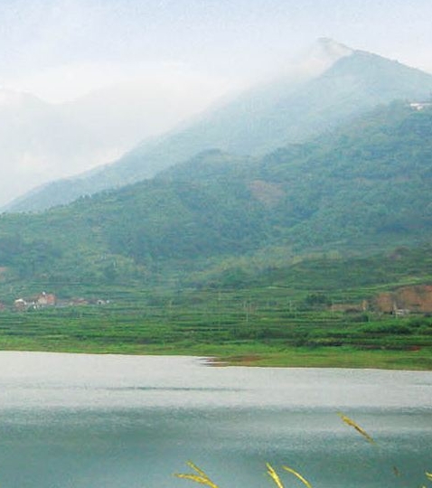 粉象生活大平台