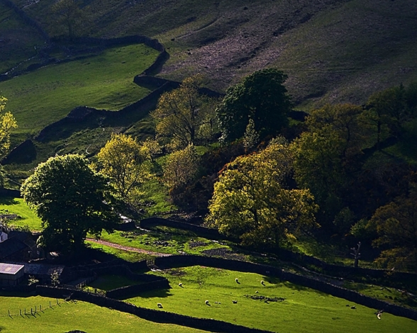 粉象app是如何挣钱的