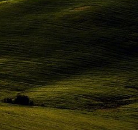 粉象生活app官网