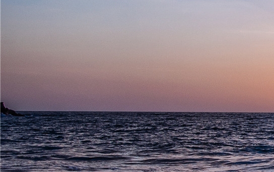 粉象生活怎么买东西