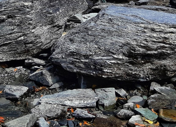 粉象生活里怎么推广产品