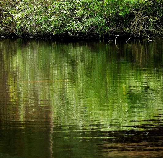 粉象生活大图标