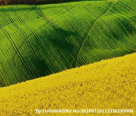 粉象生活能赚到钱吗