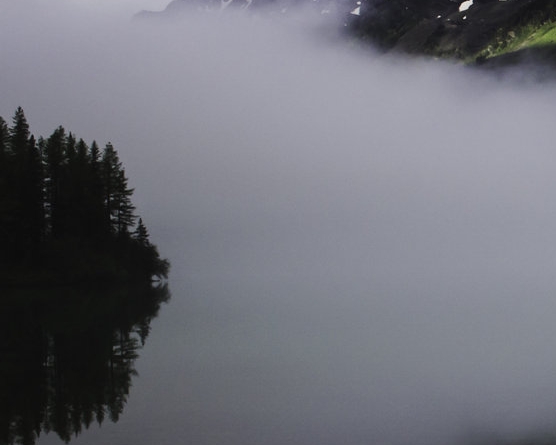 粉象生活app是干嘛的