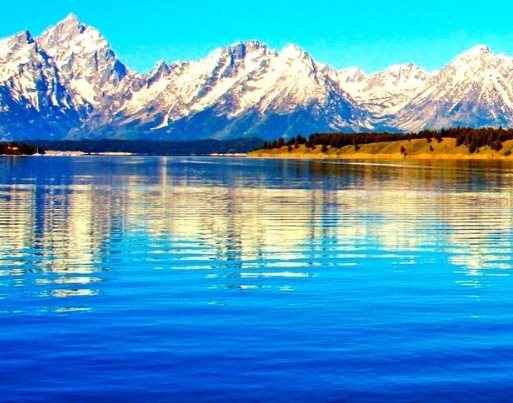 粉象生活邀请人买什么东西