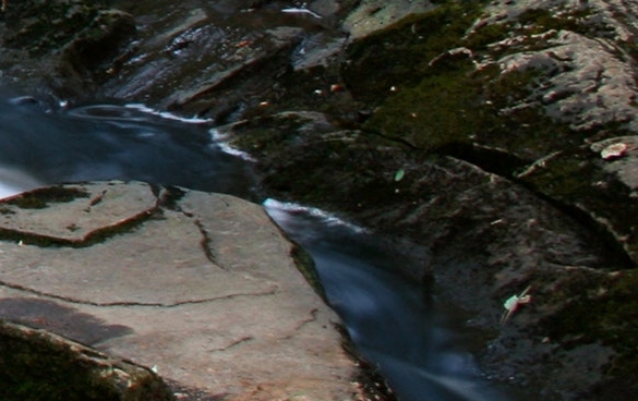 安徽粉象生活是什么