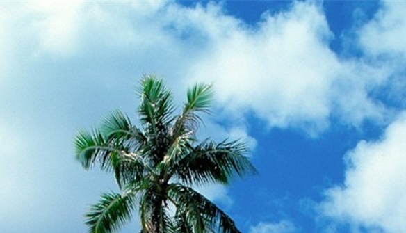 粉象生活开店加盟