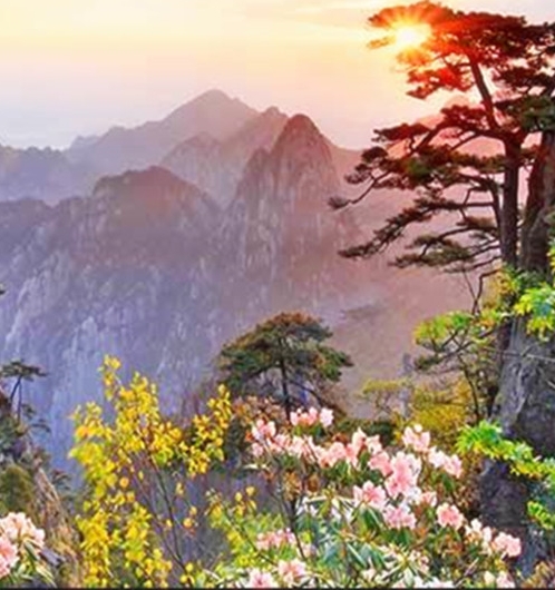 粉象生活邀请码