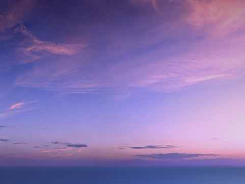 粉象生活总代理