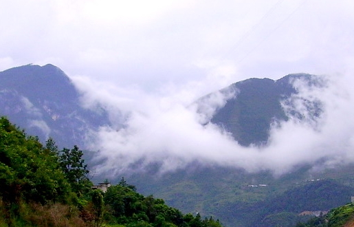 粉象生活下载app