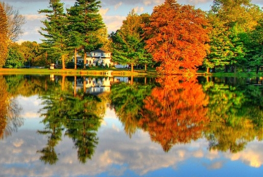 买手妈妈和粉象生活哪个好