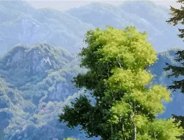 粉象生活商品分类有哪些