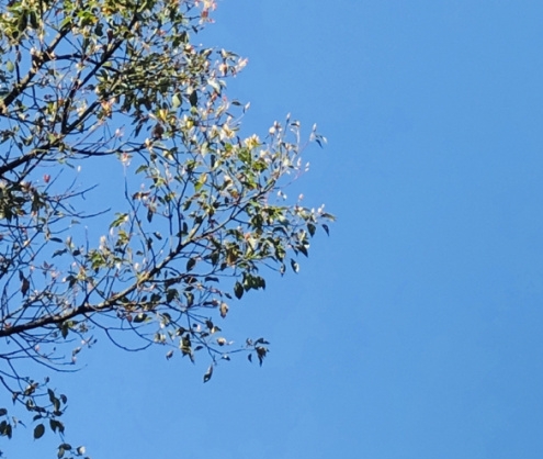 粉象生活买的东西怎么退货