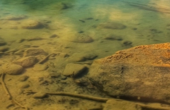 粉象生活怎么推广引流加粉丝