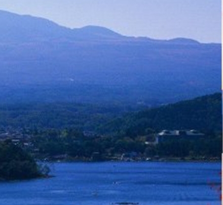 粉象生活上怎么做任务