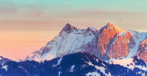 粉象生活需要的是什么资料