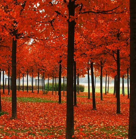 粉象的邀请码可以修改