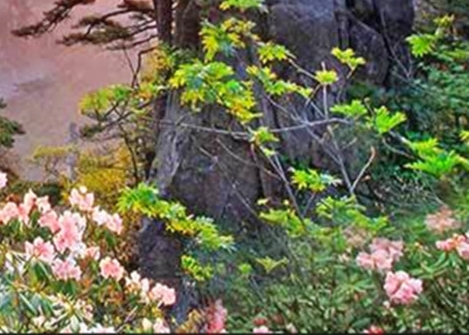 粉象生活和淘宝联盟哪个好