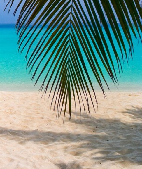 粉象生活 加油 佣金