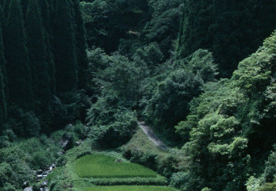 粉象生活一个粉丝多少收益