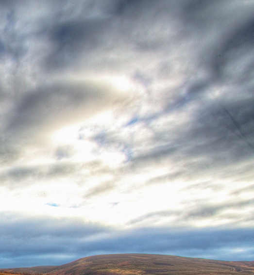 东莞粉象生活怎么推广