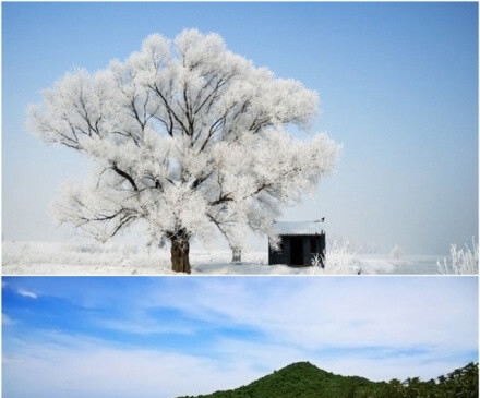 粉象生活怎么不显示优惠券