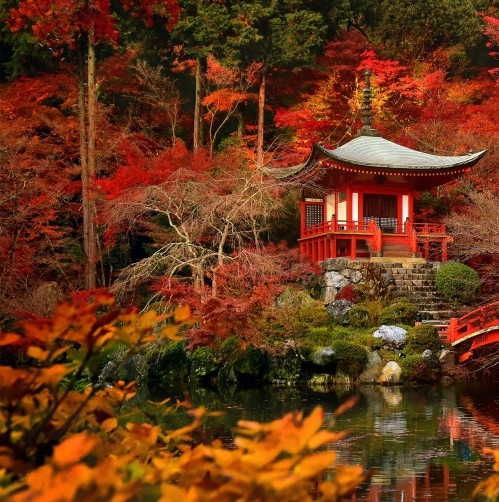 粉象生活如何返现粉象生活