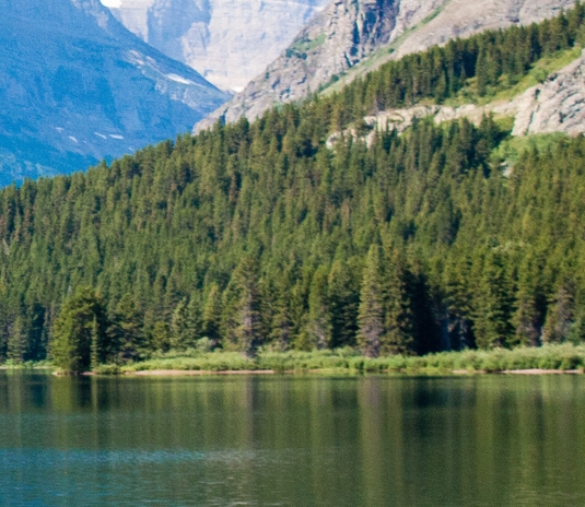 粉象生活appa官码559252