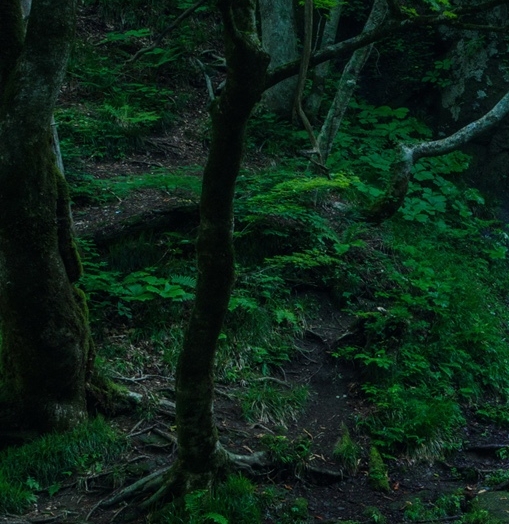 粉象生活开店可以挣钱吗