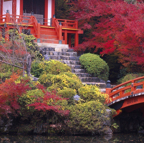 粉象提现未结算