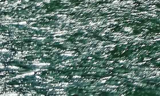 粉象生活怎么开通商家码