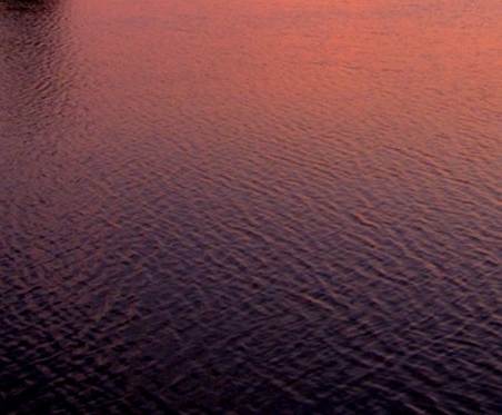 粉象生活升级后大概几天才看到收入