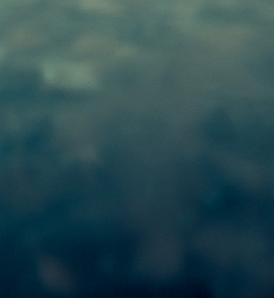 粉象生活下载app