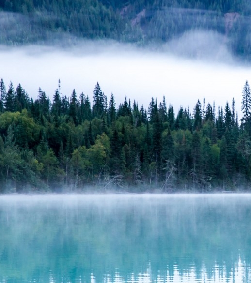 茂名粉象生活收费