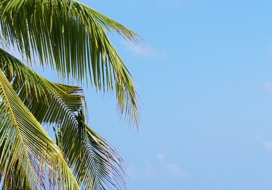 到底什么是粉象生活