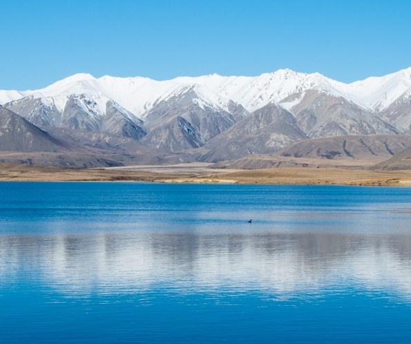 粉象生活推广方法