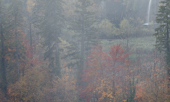 粉象生活如何使用邀请码