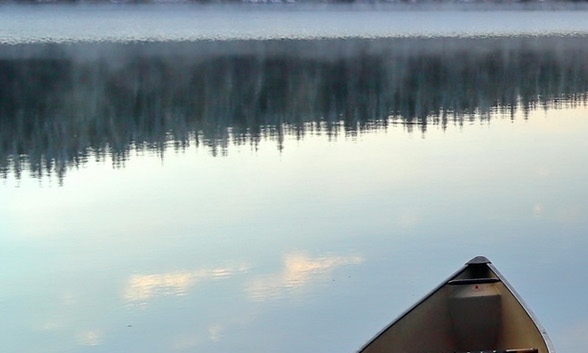 粉象生活怎么快速推广