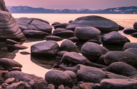 粉象生活重复购买