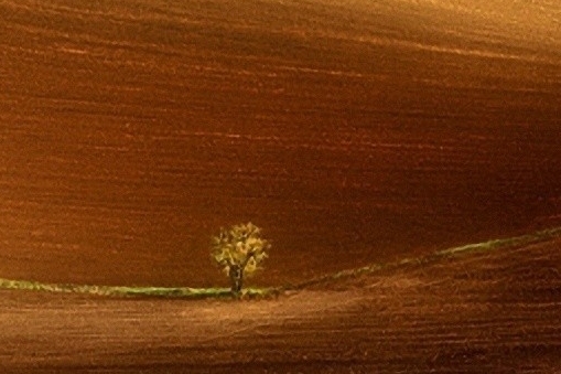 东莞粉象生活图片