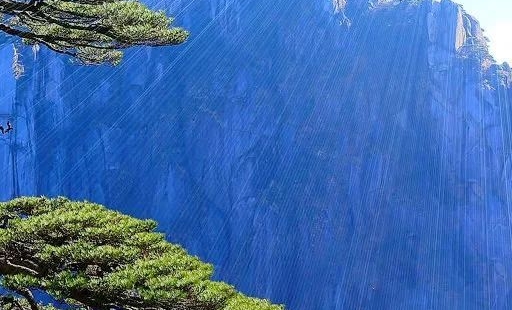 粉象生活下载app