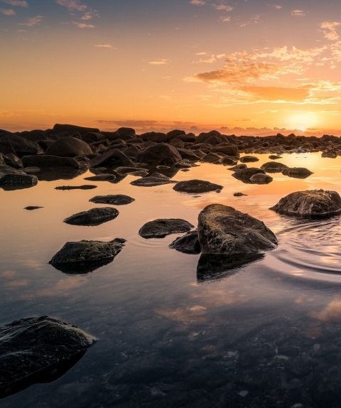 粉象生活的自媒体怎么做