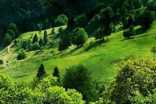 粉象生活用手机怎么发布