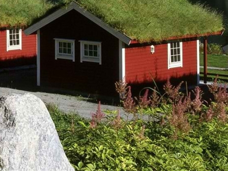 粉象生活怎样代理