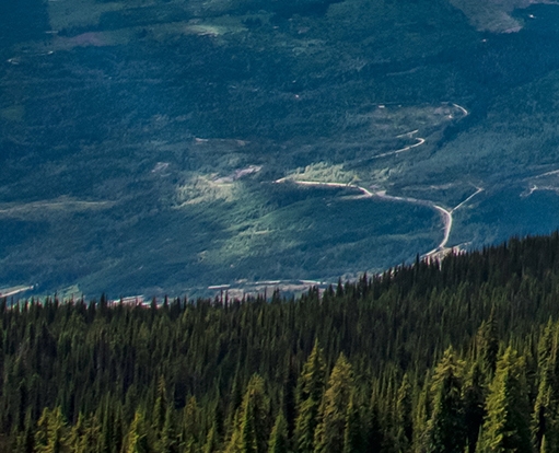 粉象授权了淘宝怎取消