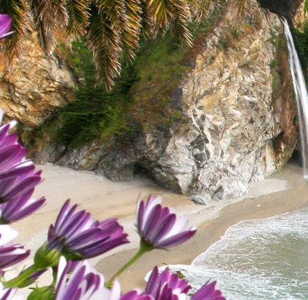 粉象生活如何快速提升佣金