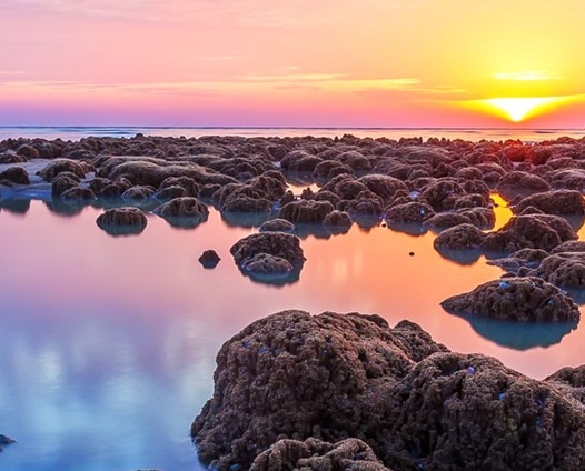 粉象生活用的什么供应链